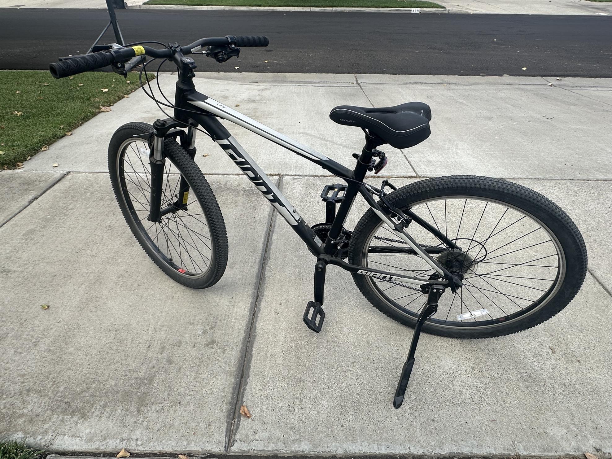 2020 Giant Silver, gray or bare metal